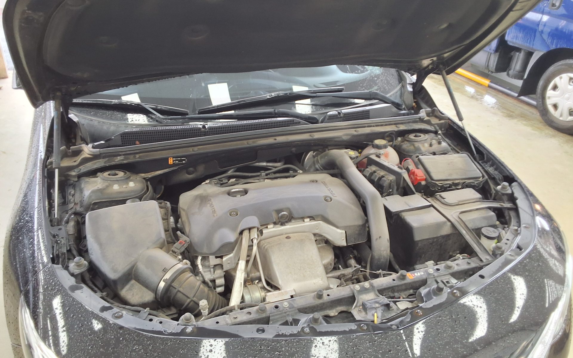 شيفروليه (Daewoo) الجديد ماليبو 2.0 بنزين Perfect Black 2020