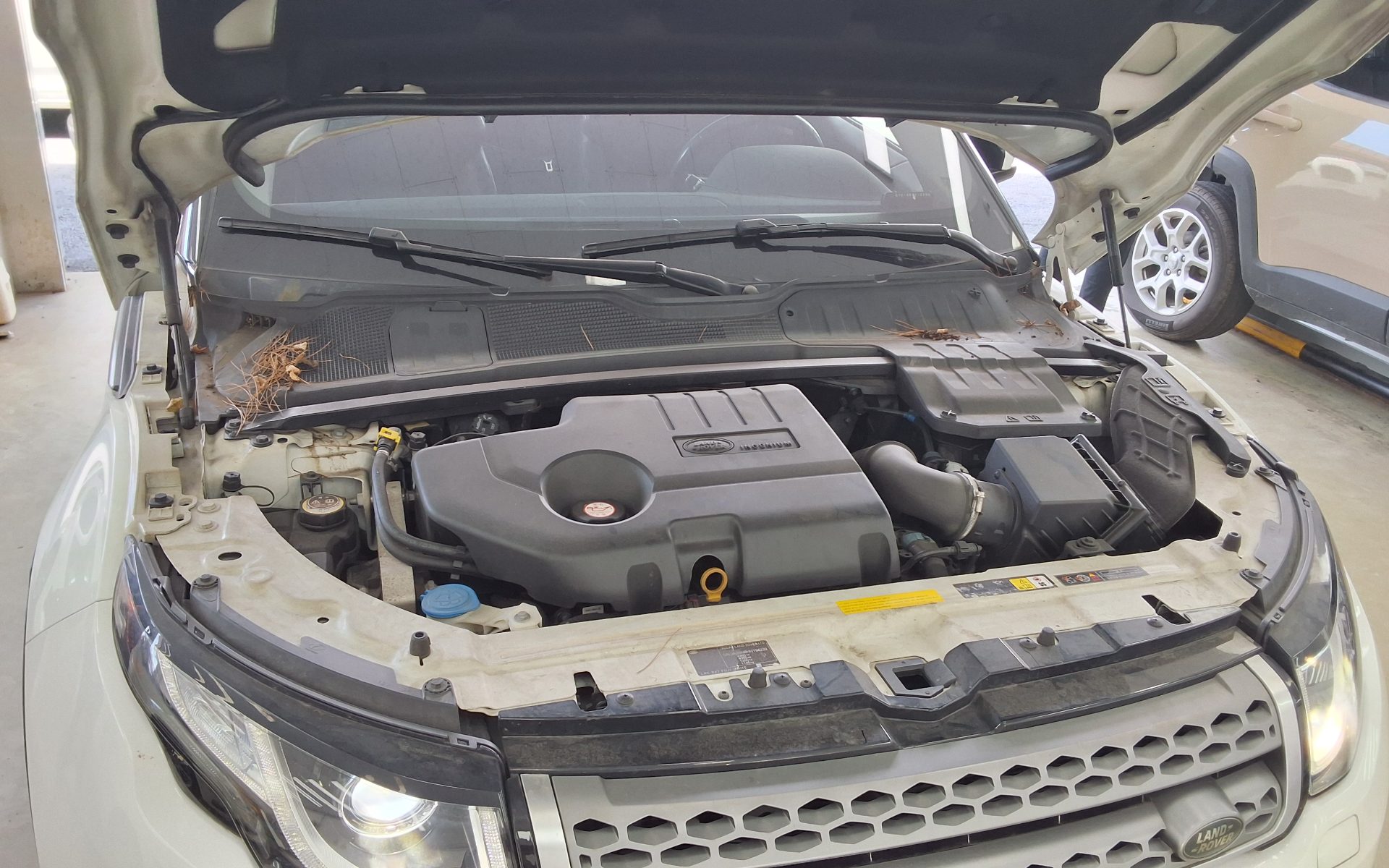 لاند روفر Rover رينج روفر Evoque 2.0 Td4 Se 2017 SE