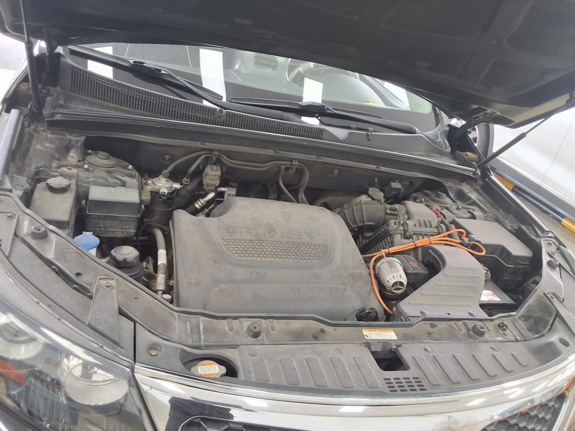 كيا سورينتو 2012 TLX بريميوم