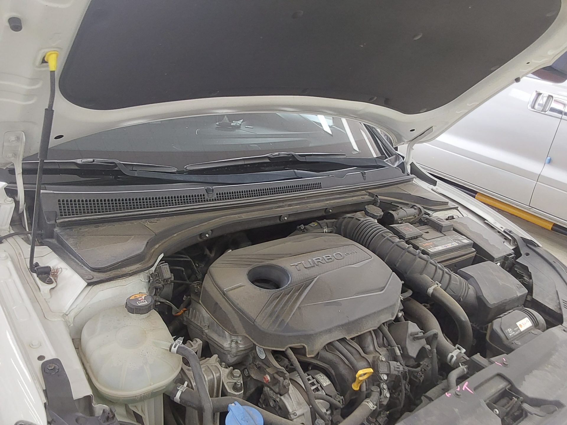 هيونداي فيلوستر (Js) 1.6 تيربو Sport Core 2019 TURBO SPORT