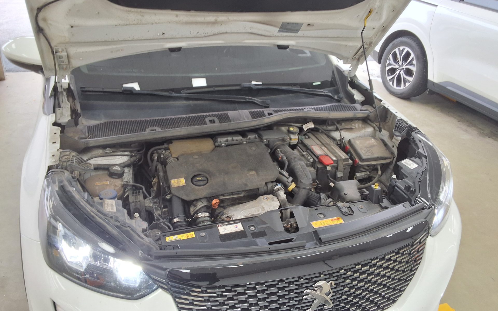 بيجو 2008 (2Nd Gen) 1.5 Bluehdi Allure 2021