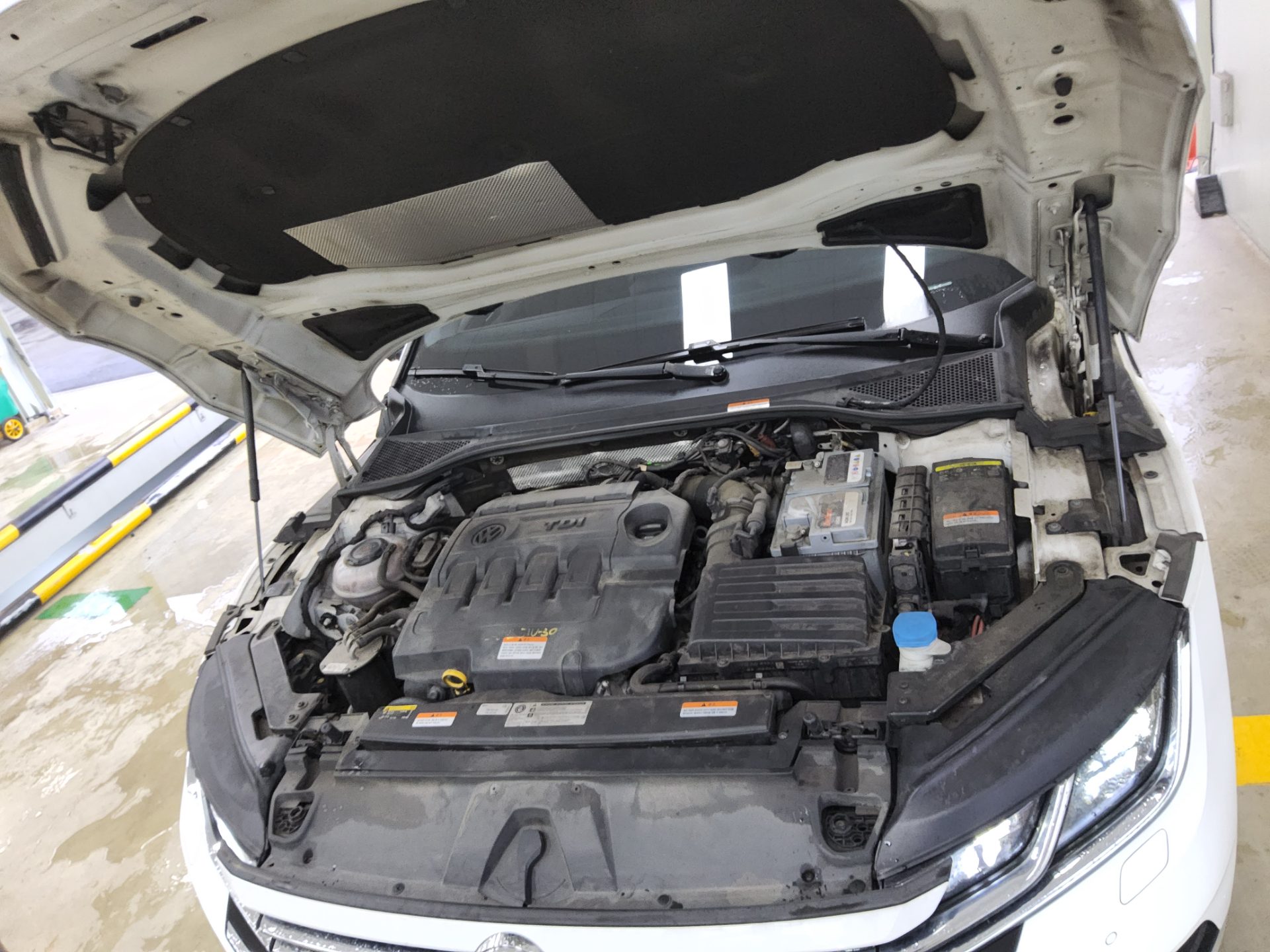 فولكس فاجن أرتيون 2.0 TDI Elegance بريميوم 2019 بريميوم