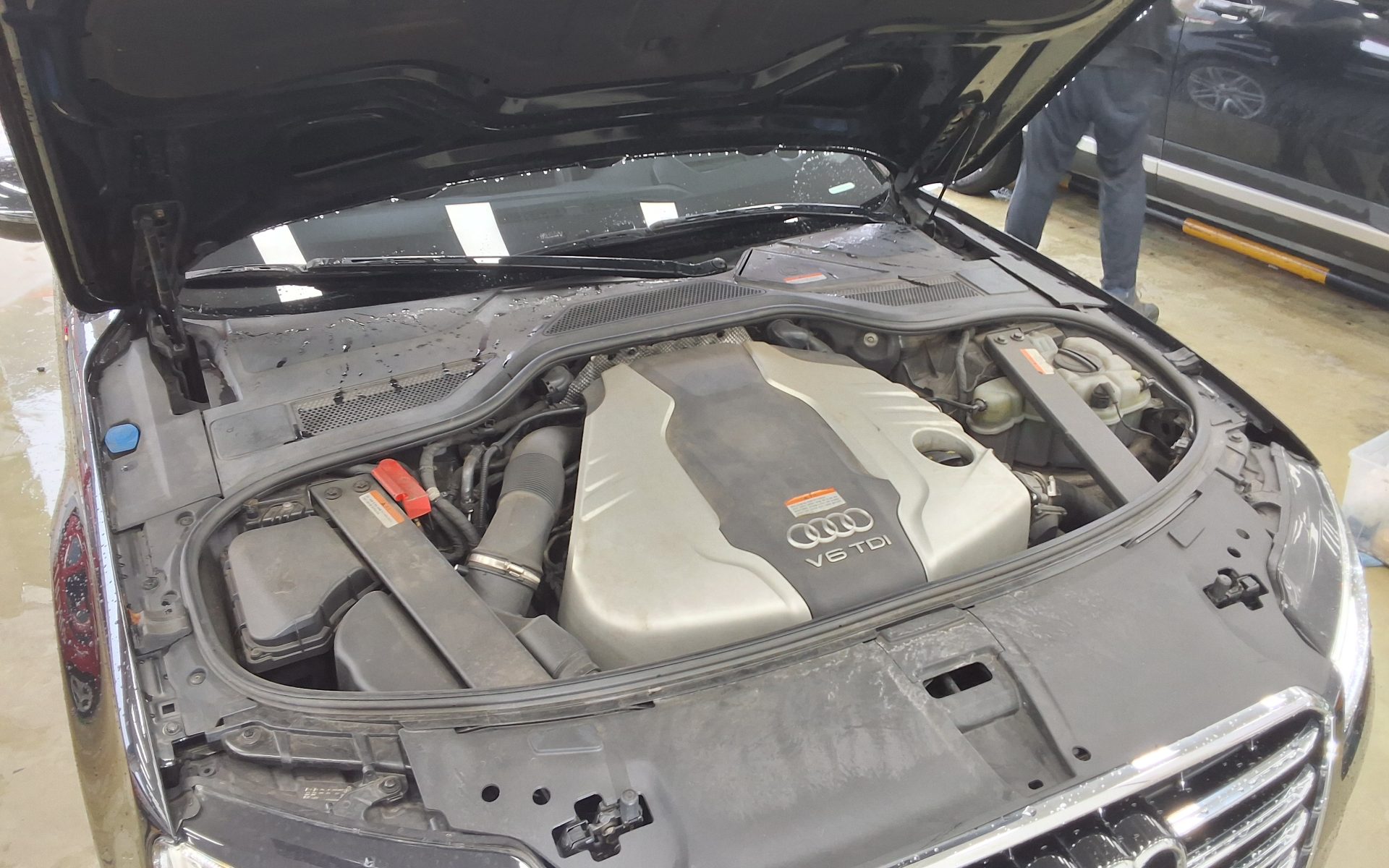 أودي إيه 8 (3Rd Gen) 50 TDI كواترو 2015