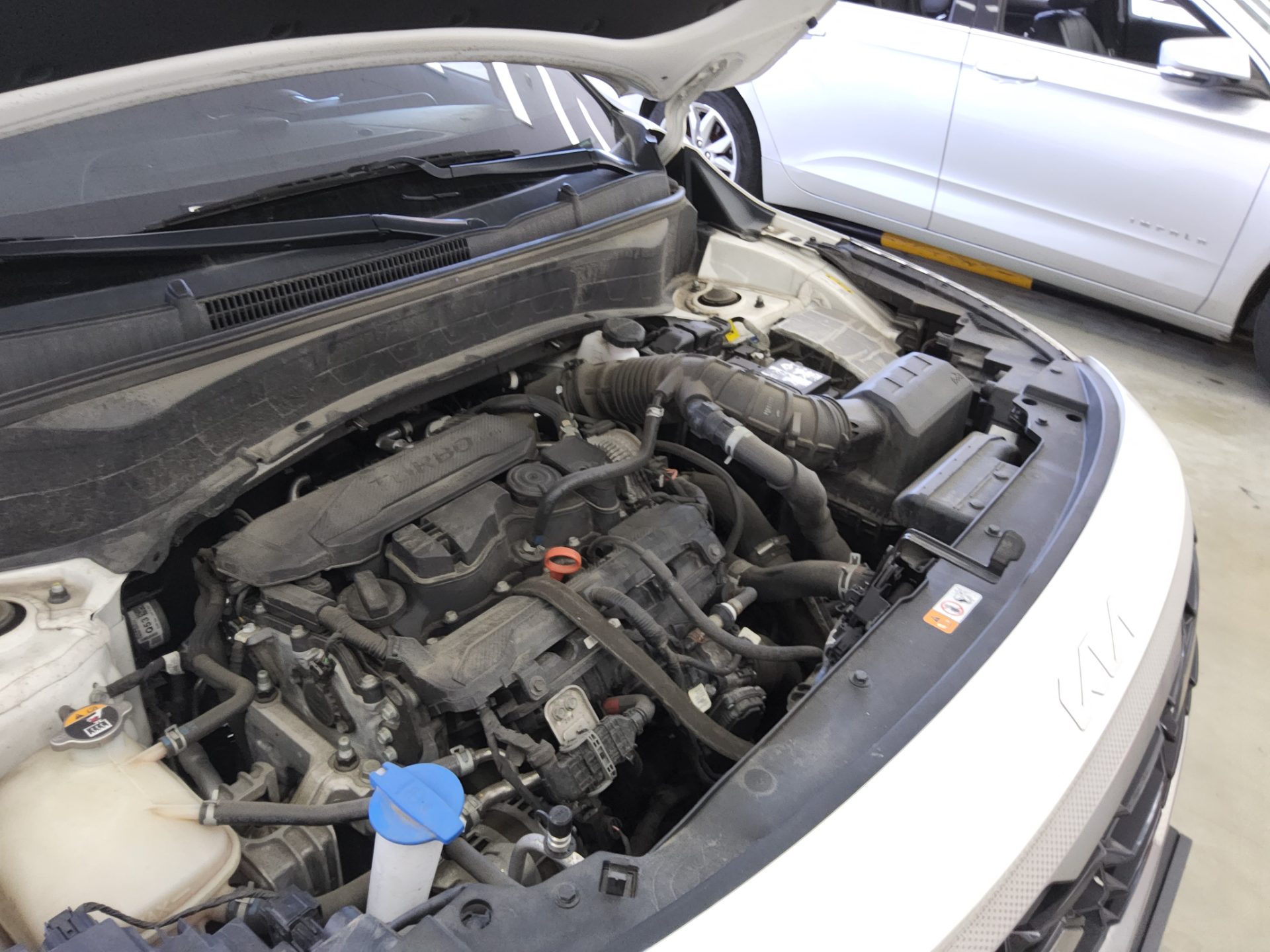 كيا سيلتوس 2023 TURBO SIGNATURE
