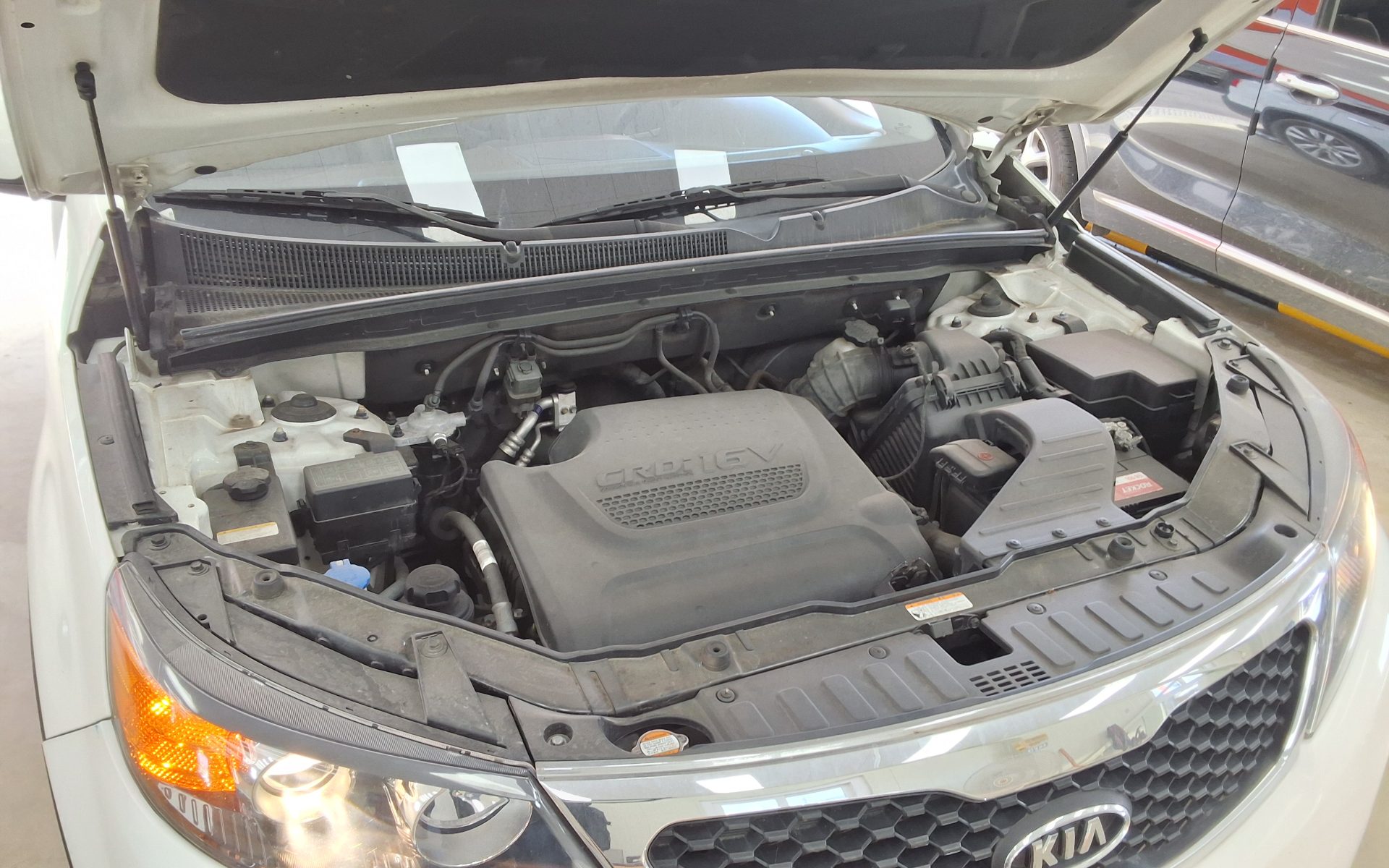 كيا سورينتو 2010 TLX فاخر