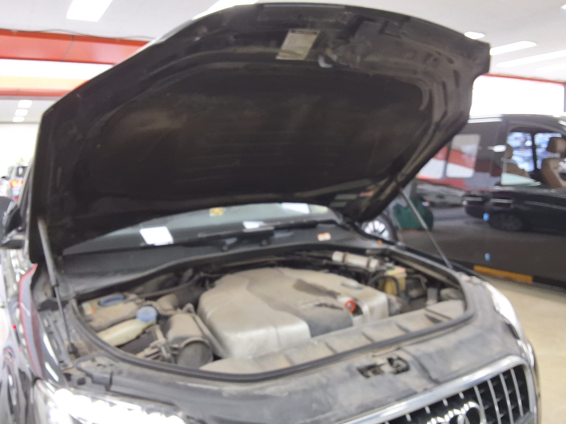 أودي كيو 7 3.0 TDI كواترو Dynamic 2013