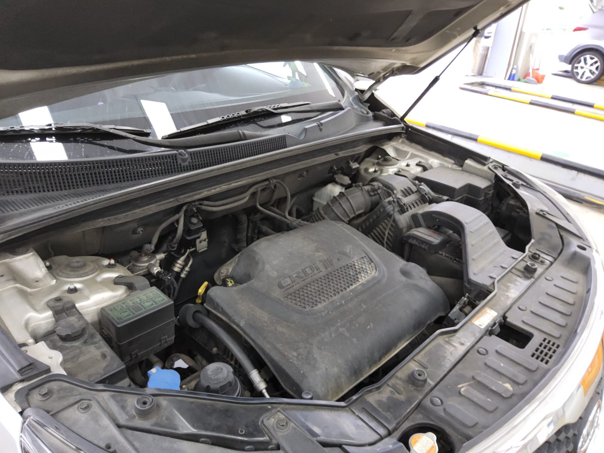 كيا سورينتو 2010 TLX فاخر