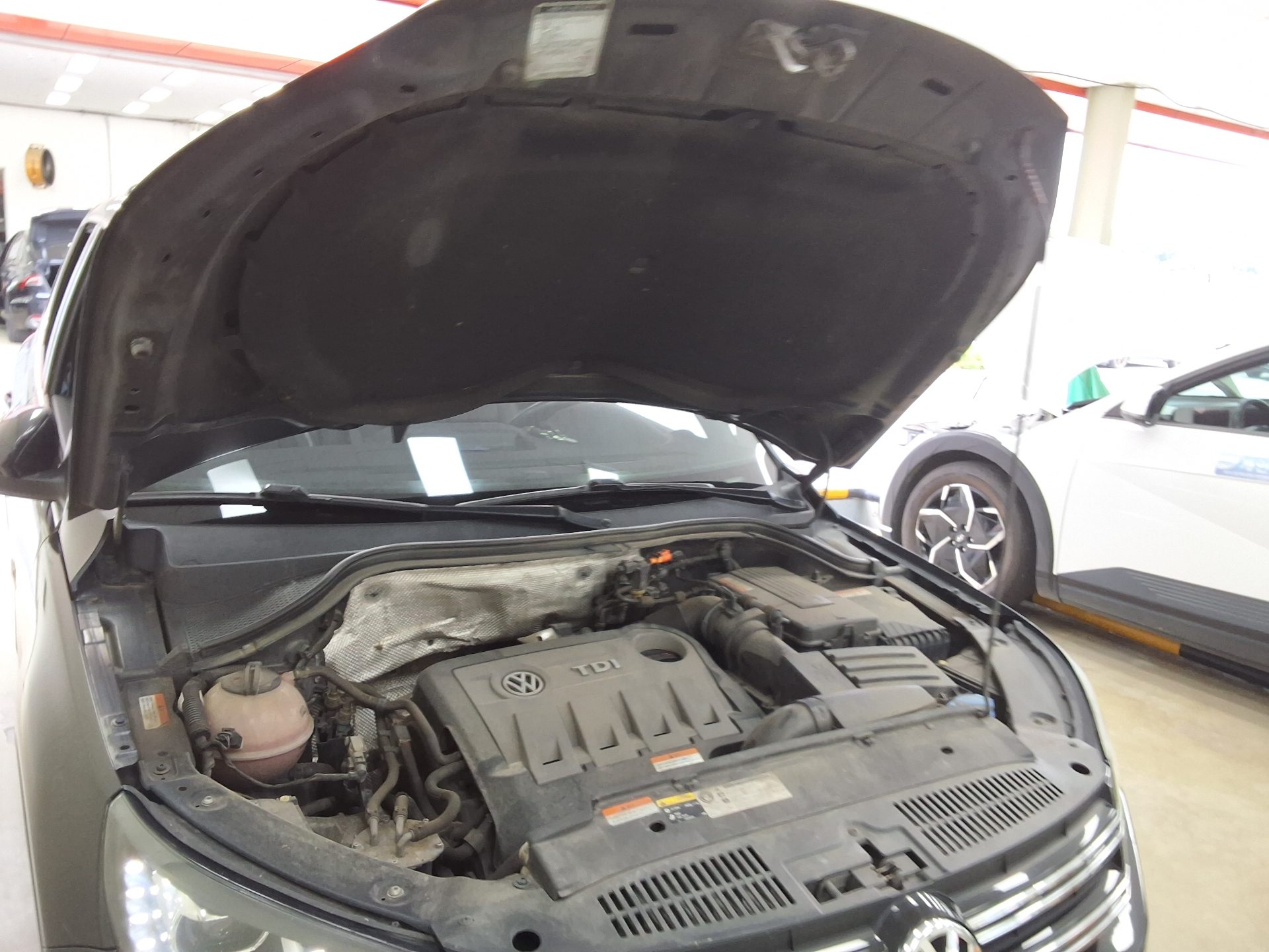 فولكس فاجن تيجوان 2.0 TDI Bluemotion بريميوم 2013 بريميوم