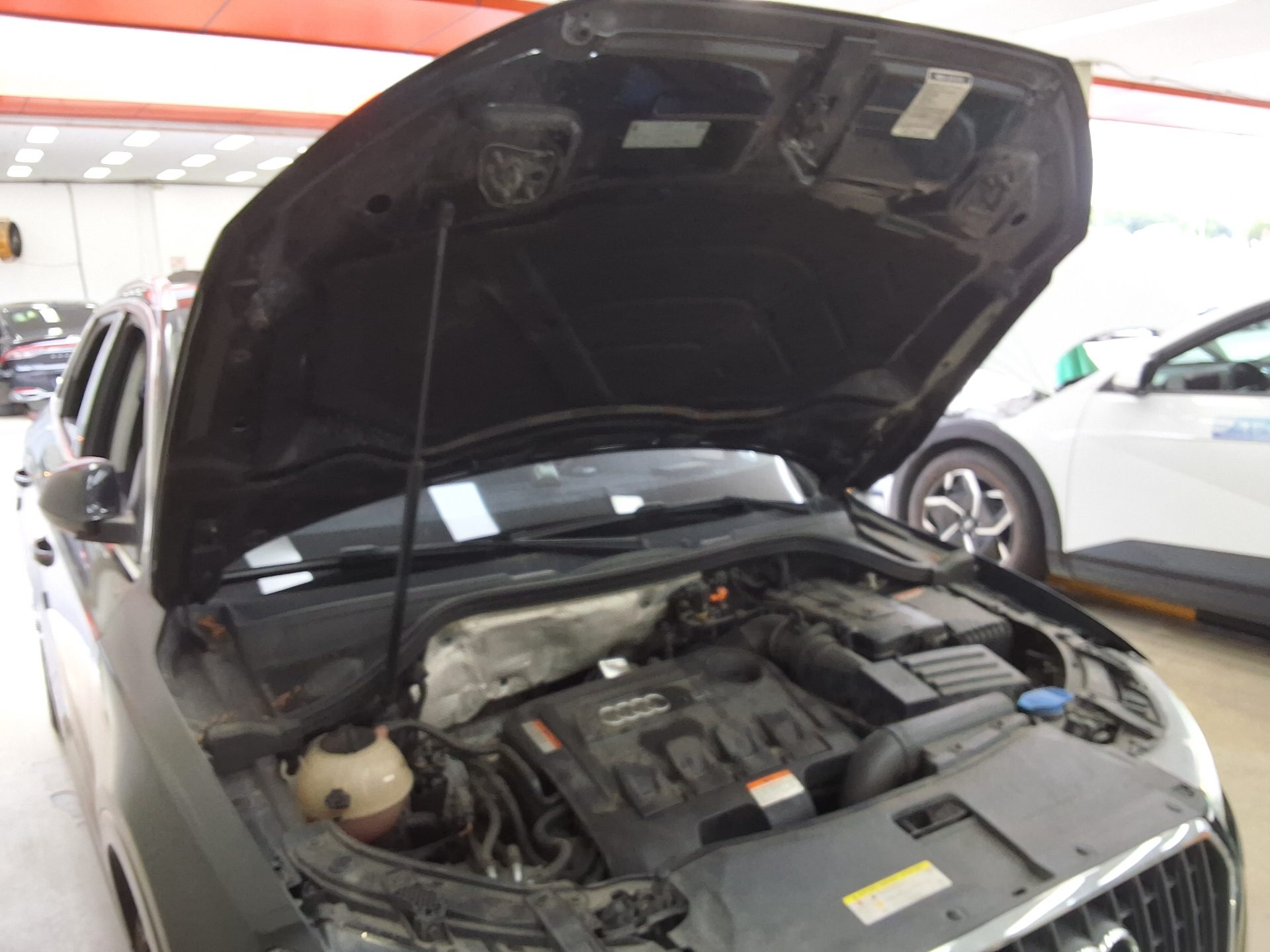 أودي كيو 3 2.0 TDI كواترو Dynamic 2013