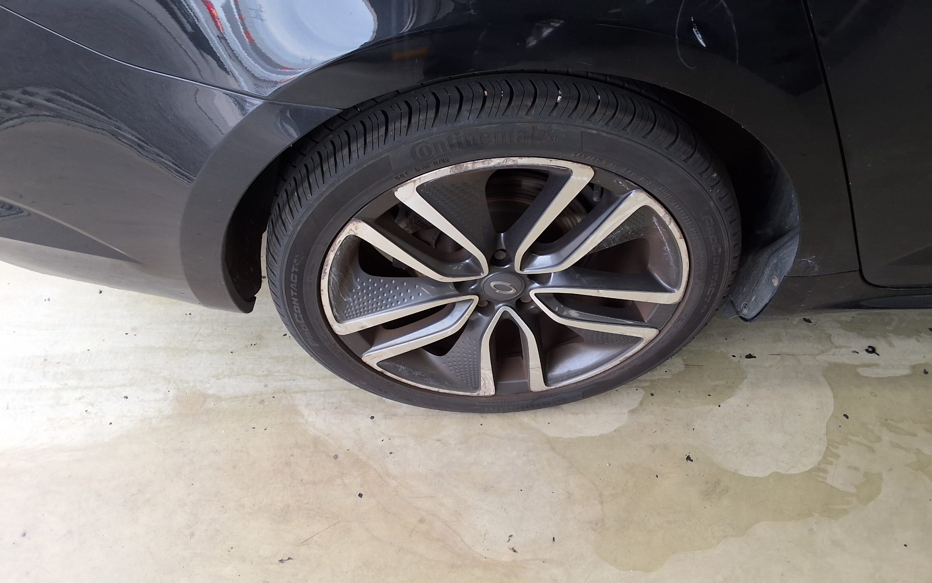 رينو (Samsung) إس إم 6 2.0 Lpe Rental Car Pe 2019