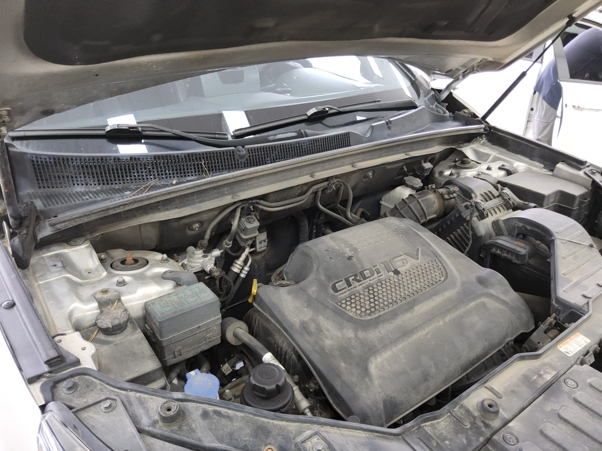كيا سورينتو 2010 TLX بريميوم