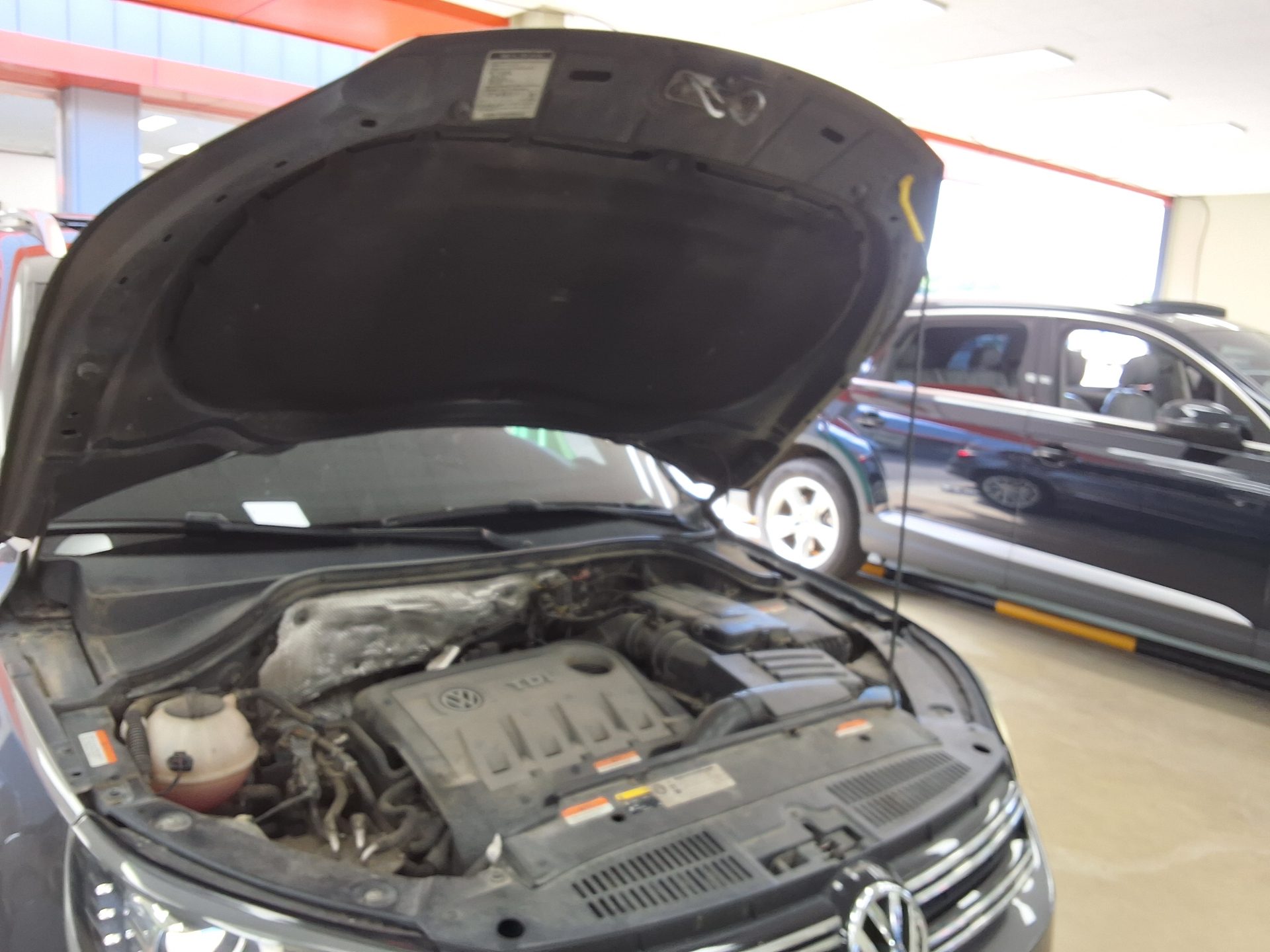 فولكس فاجن تيجوان 2.0 TDI Bluemotion بريميوم 2015 بريميوم