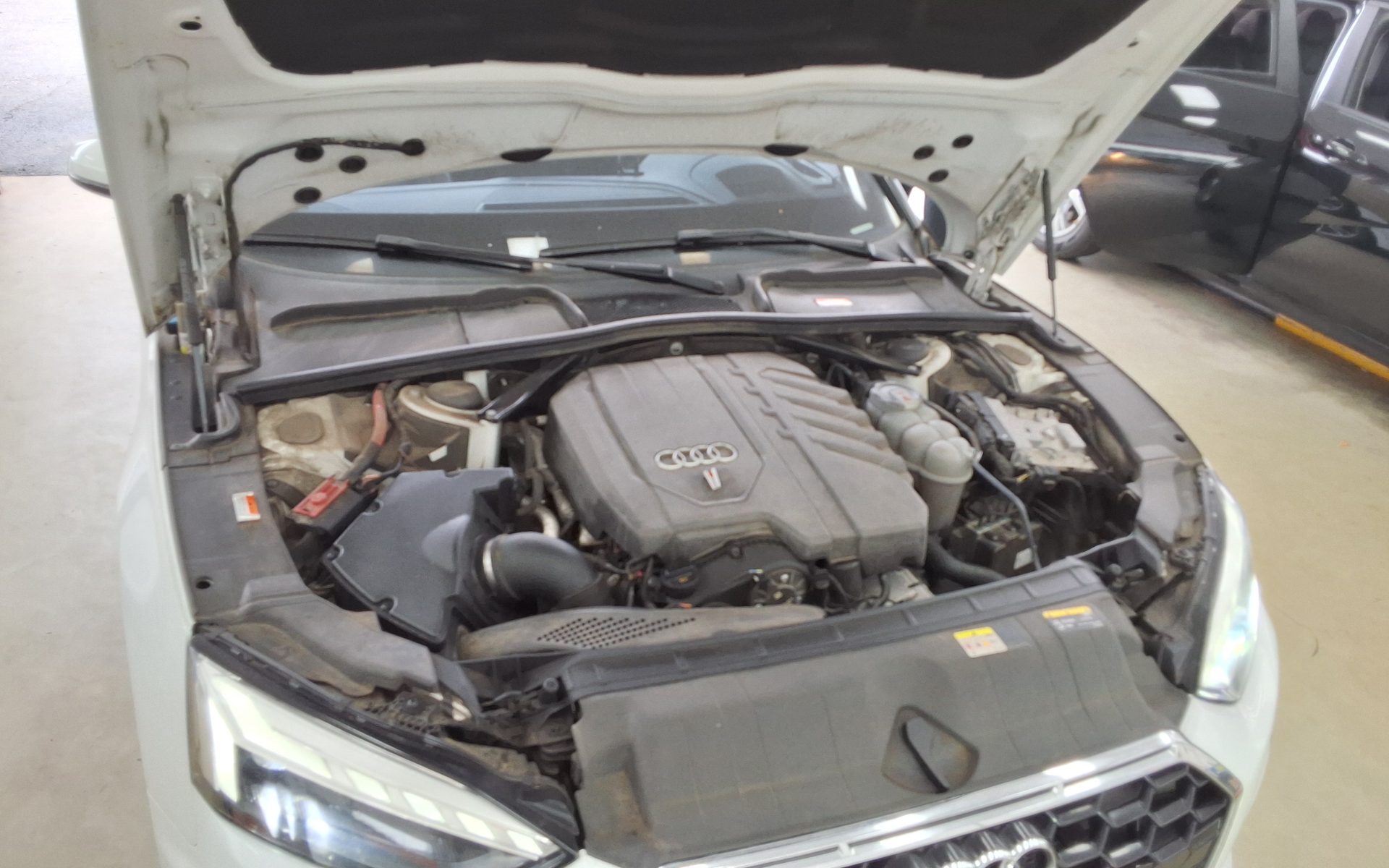 أودي إيه 5 (2Nd Gen) 45Tfsi كواترو Cabriolet 2021