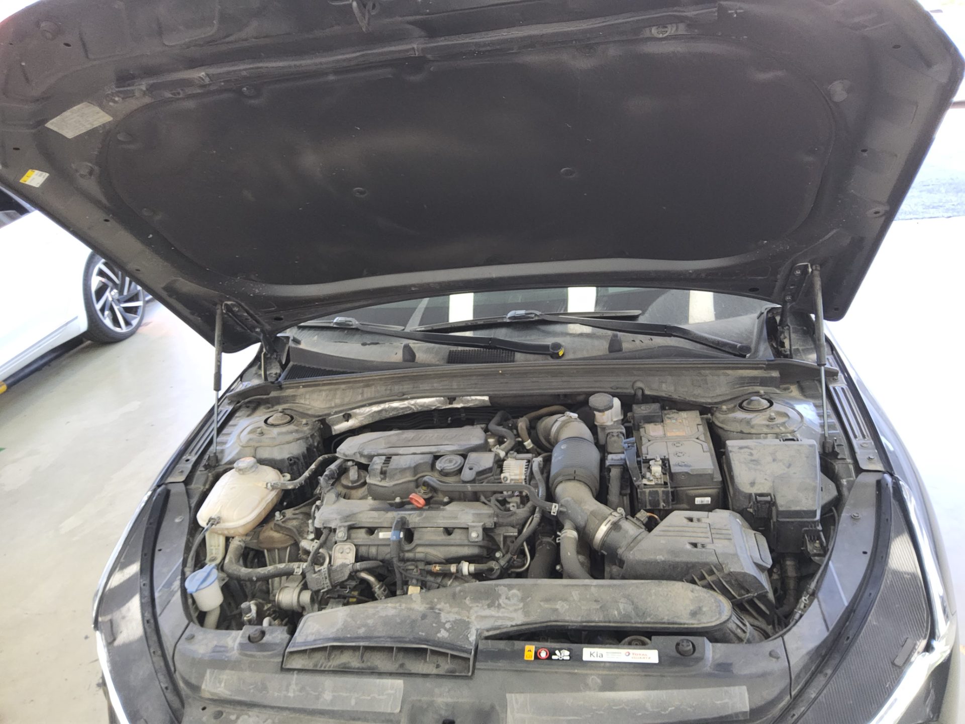 كيا كي 5 2023 TURBO SIGNATURE