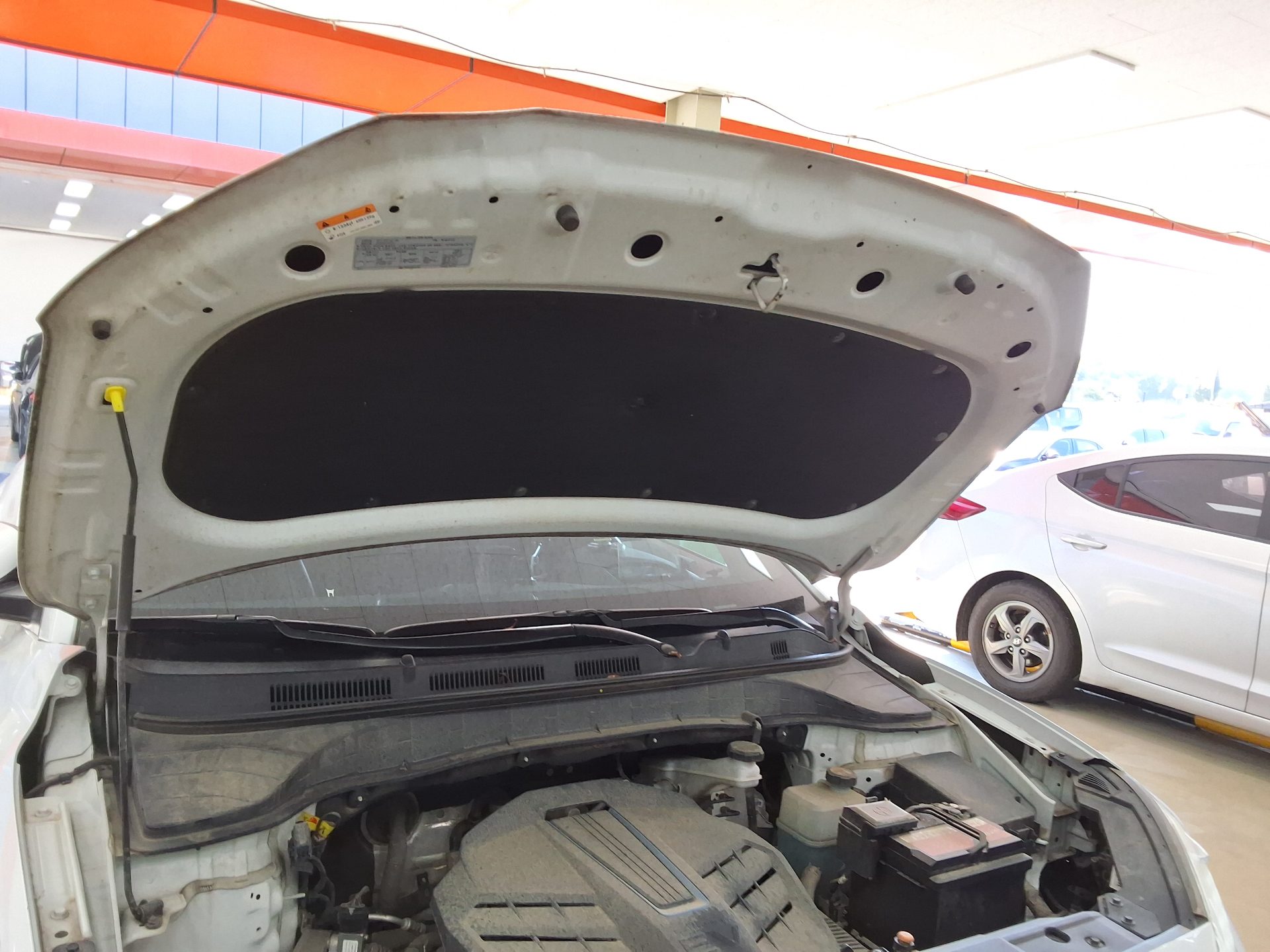 هيونداي كونا 2019 EV بريميوم