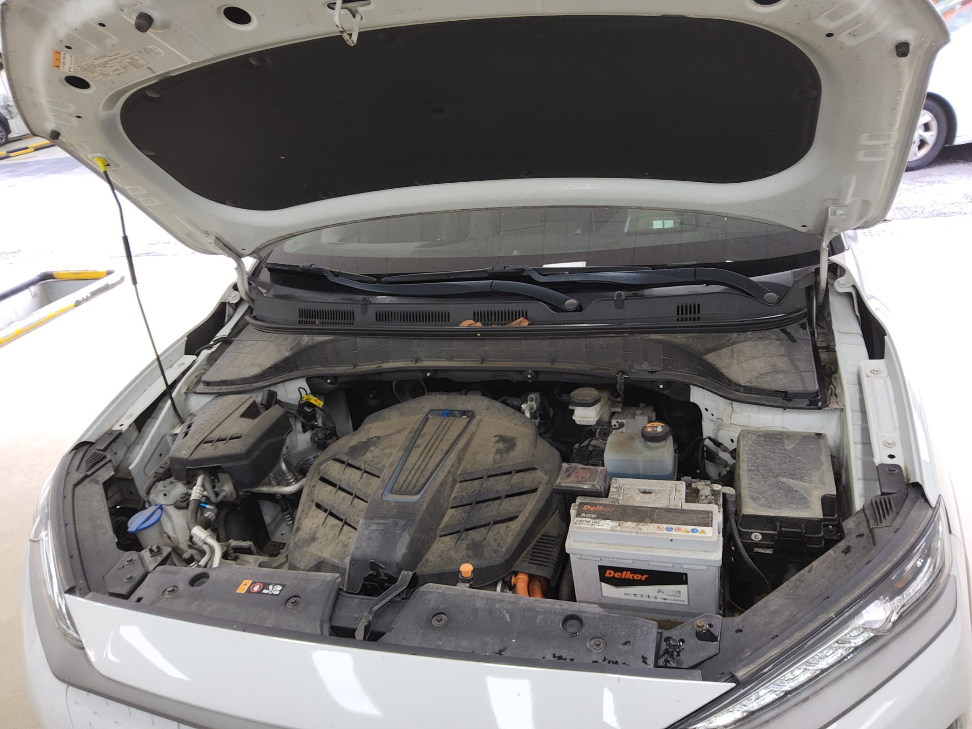 هيونداي كونا 2019 EV بريميوم
