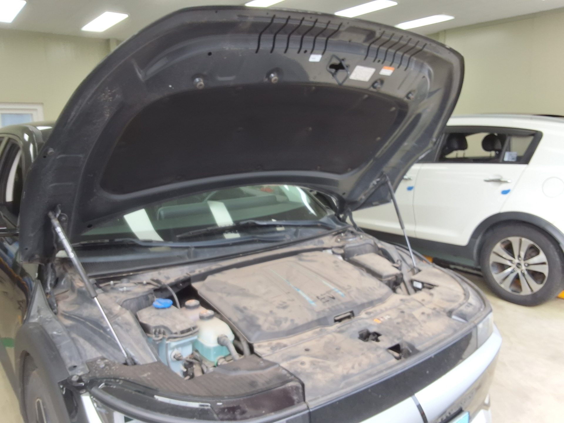 هيونداي أيونيك 2023 EV دفع رباعي طويل المدى إكسكلوسيف