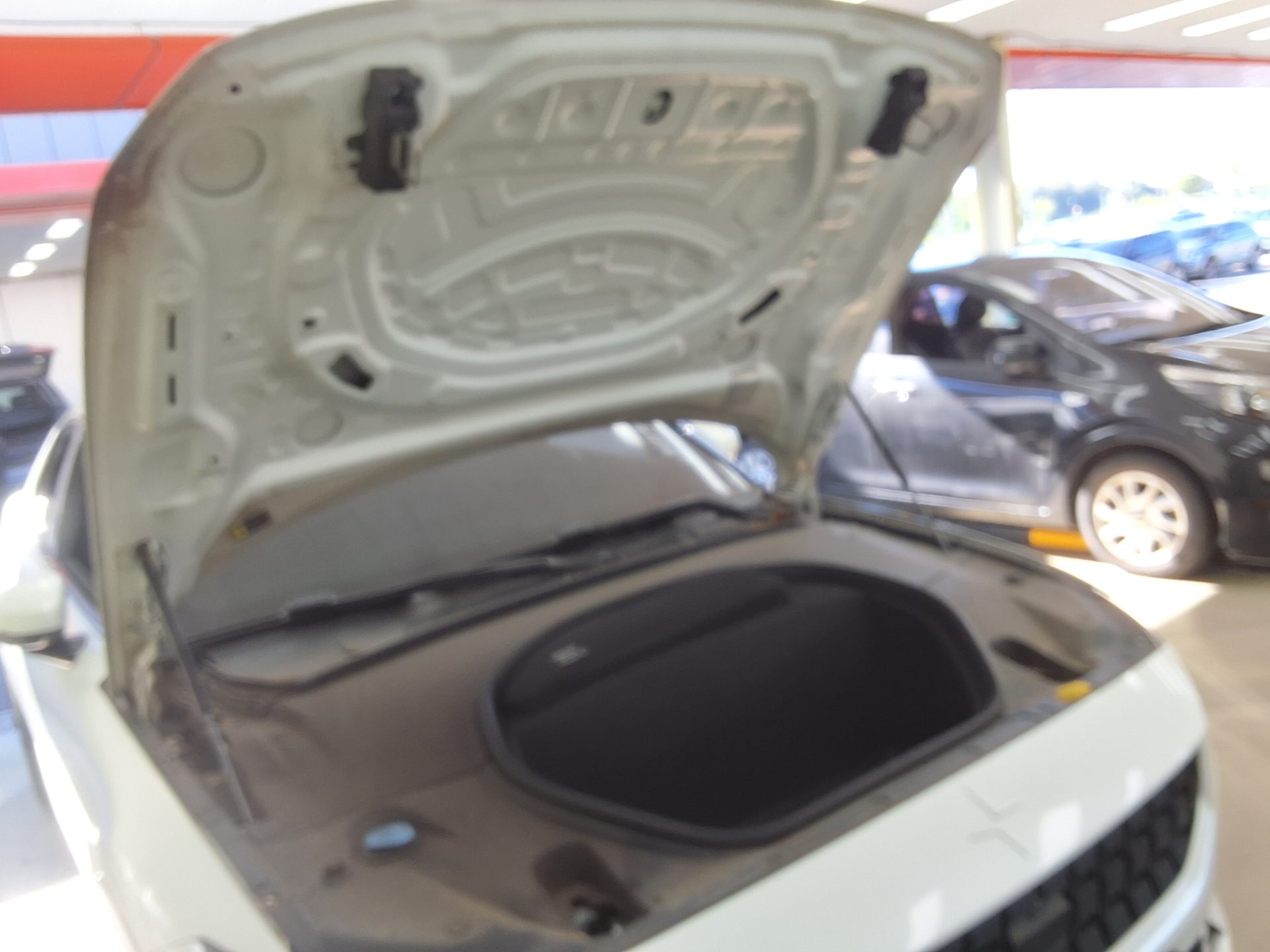 Polestar Polestar 2 2023 طويل المدى