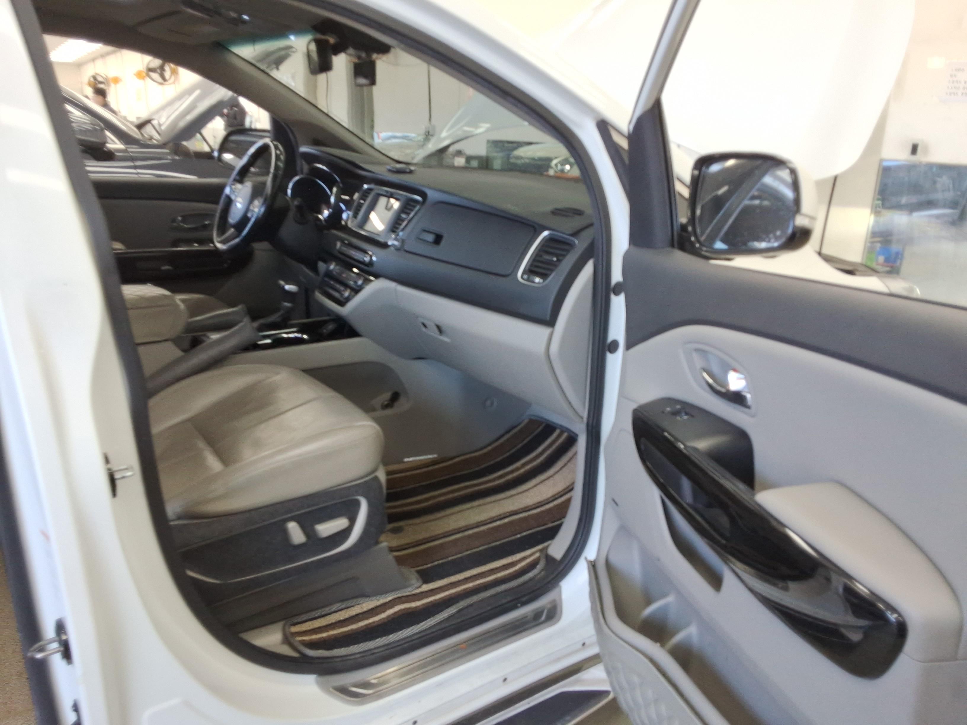 2019 - kia carnival