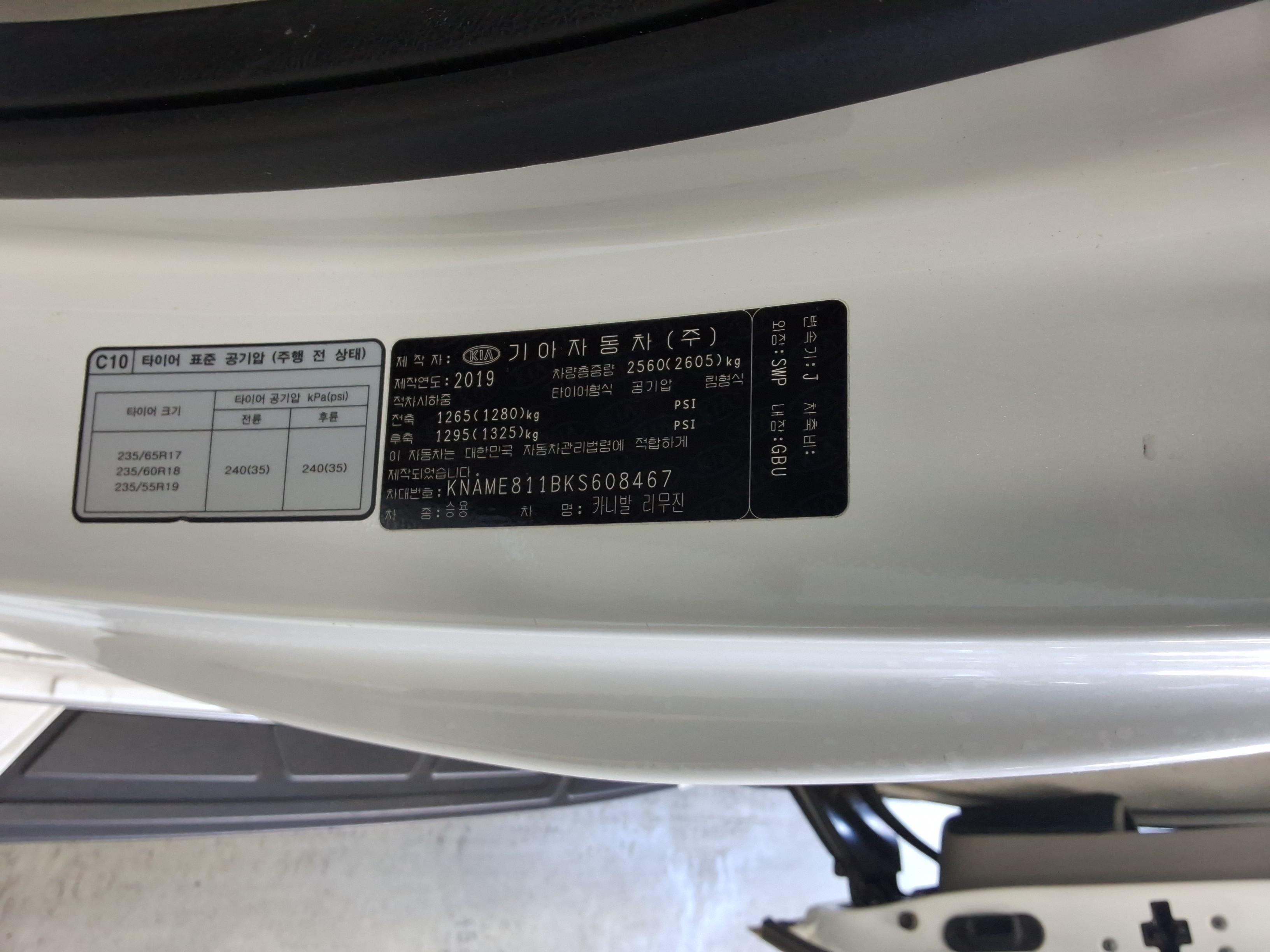 2019 - kia carnival