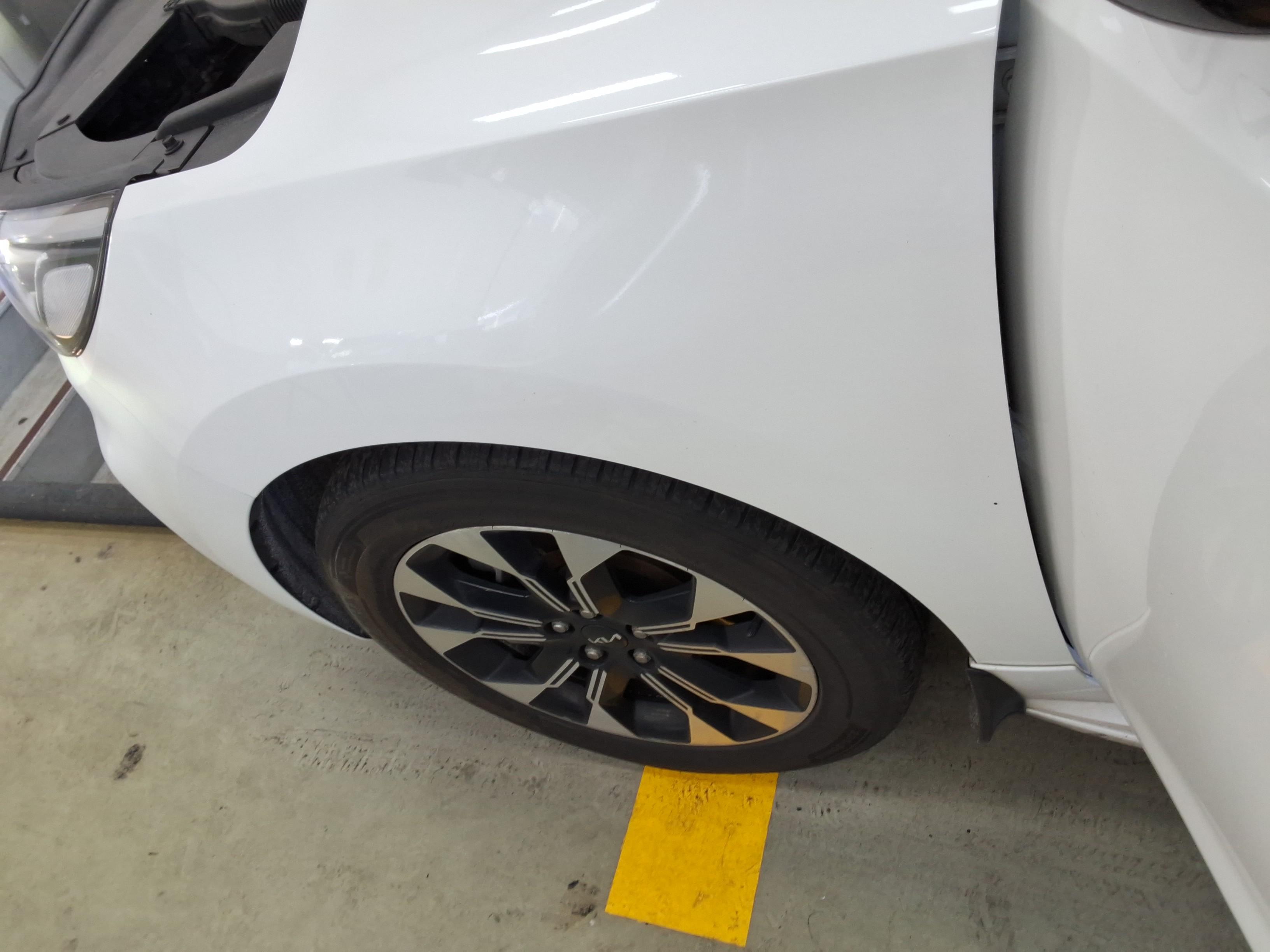 2019 - kia carnival