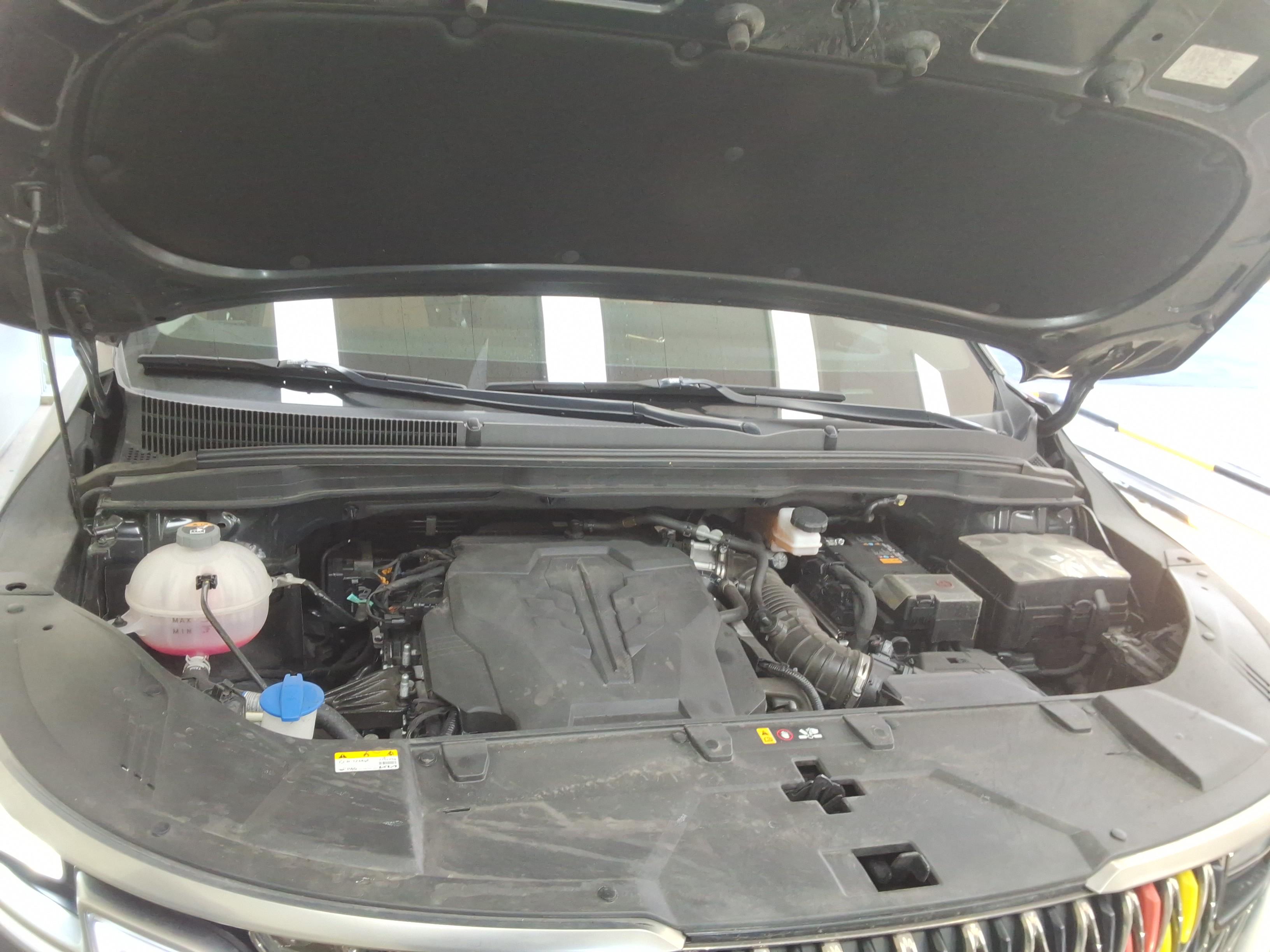 Kia Carnival - 19
