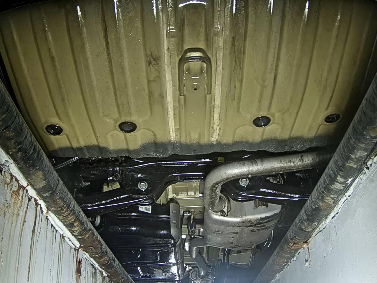 Kia Carnival - 7