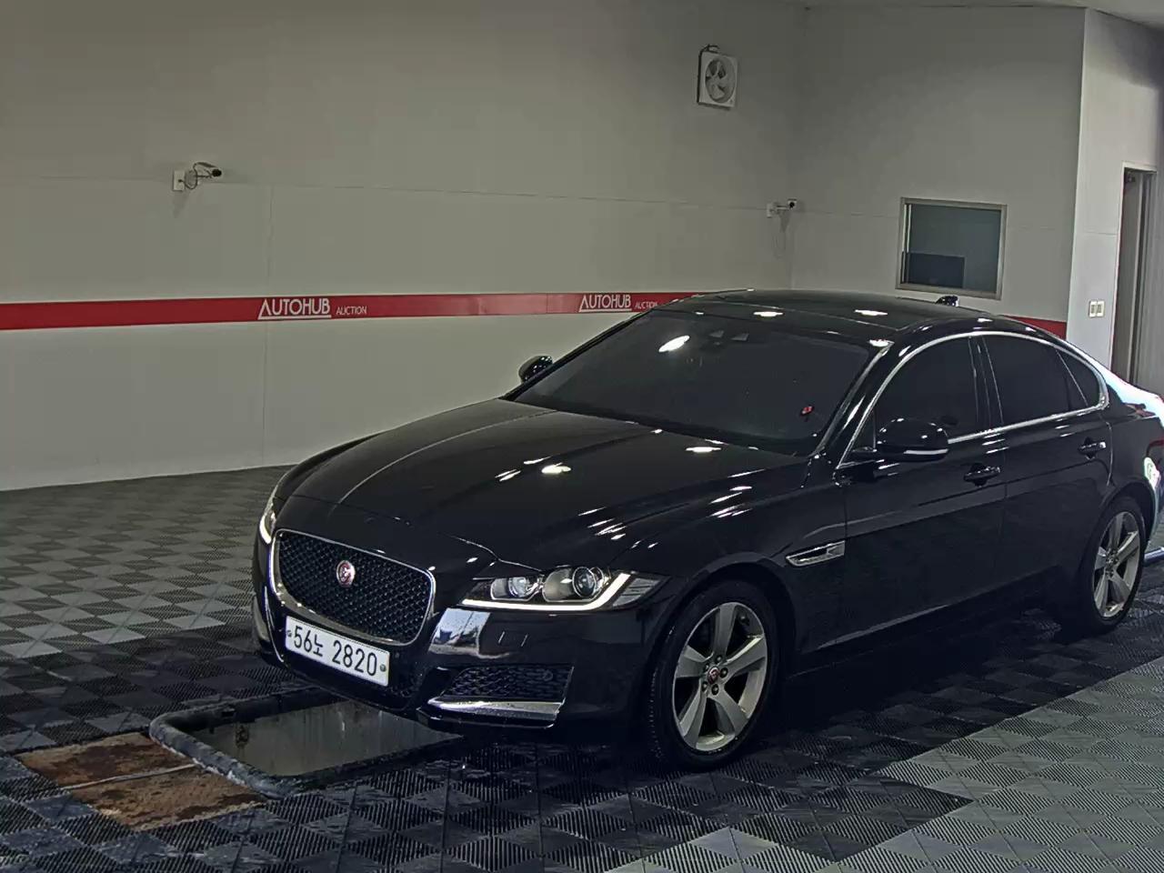 JAGUAR 재규어