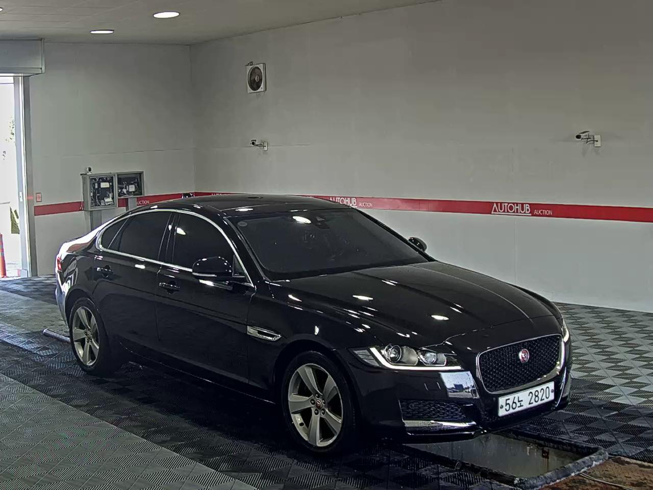JAGUAR 재규어 - 2